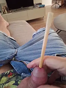 minnetirdn Webbikameraesitys