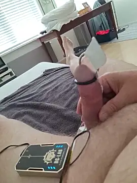 minnetird Show Webcam