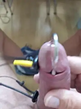 minnetird Show in webcam
