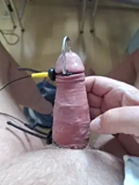 minnetird – webcam-show