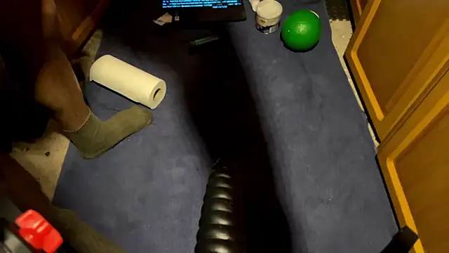 SharkedTaxis – webcam-show