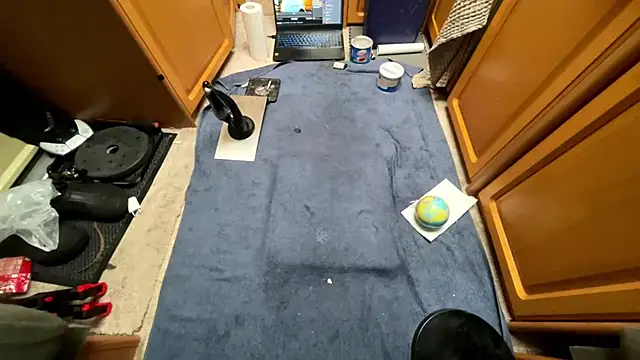 SharkedTaxis Webcamshow