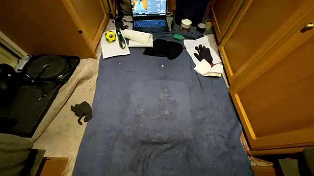 SharkedTaxis Show in webcam