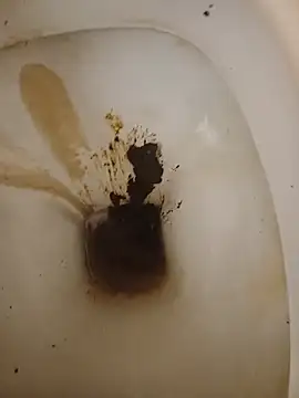 juanpa8453 ওয়েবক্যাম শো