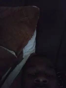 zulublackmamba666 웹캠 쇼