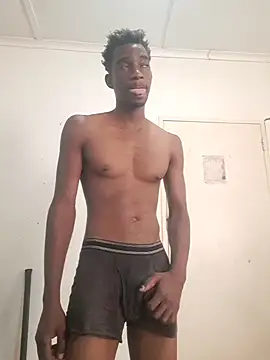 BBc_Prince97n Webbikameraesitys