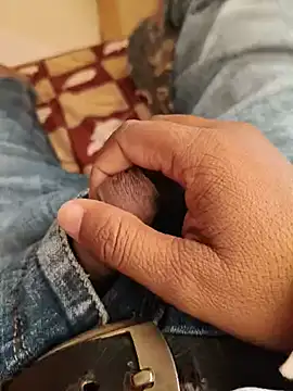 Pertunjukan Kamera Web Gujjuuboys