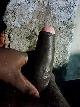 Tamil_mallu_love 라이브 XXX 채팅