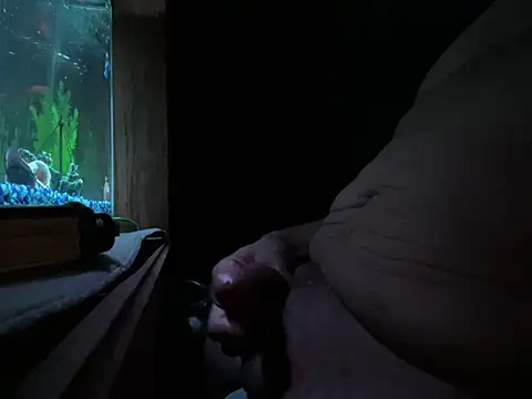 NiftyCaptain3 Show in webcam