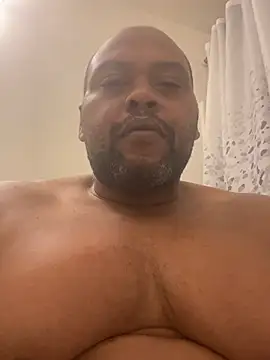 Show Webcam de Brickstevens