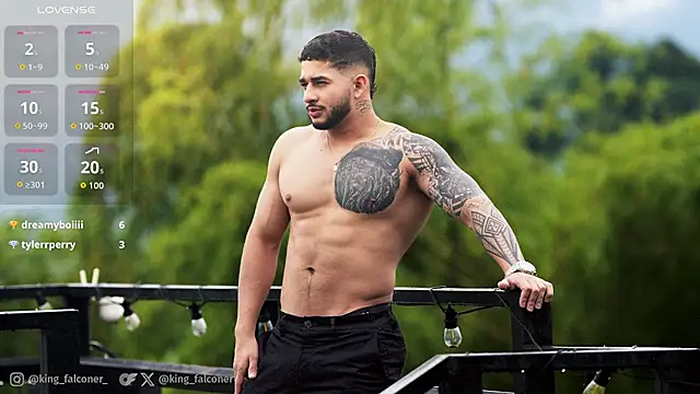 king_falconer – webcam-show