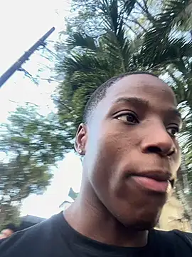CharlesBrown_n Webbikameraesitys