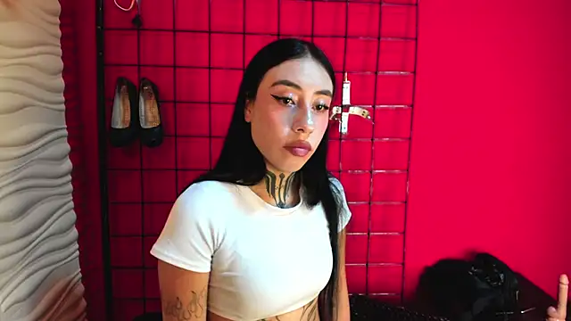 Dunnadan_Bms 网络视讯表演