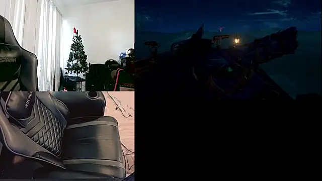 SkrogDog Webcam-Show