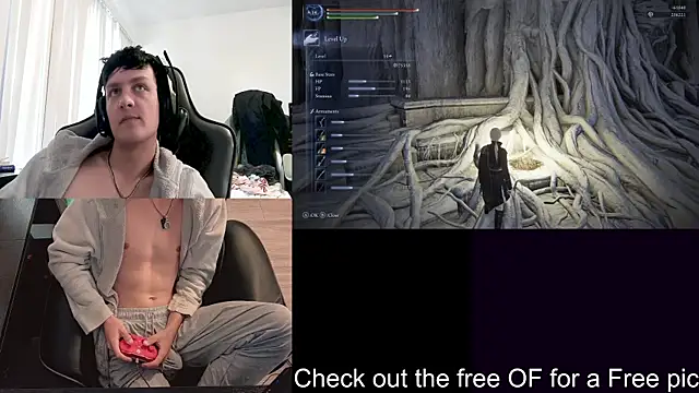 Show Webcam de SkrogDog