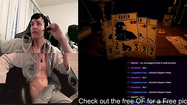 Show de SkrogDog na webcam