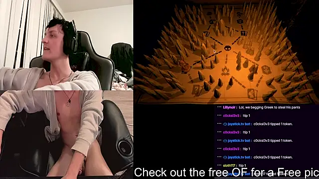 Show Webcam de SkrogDog