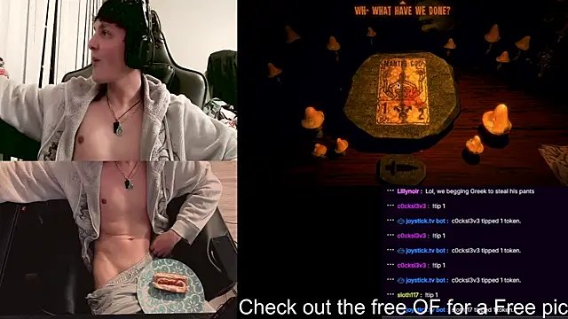 SkrogDogのウ ェブカメラショー