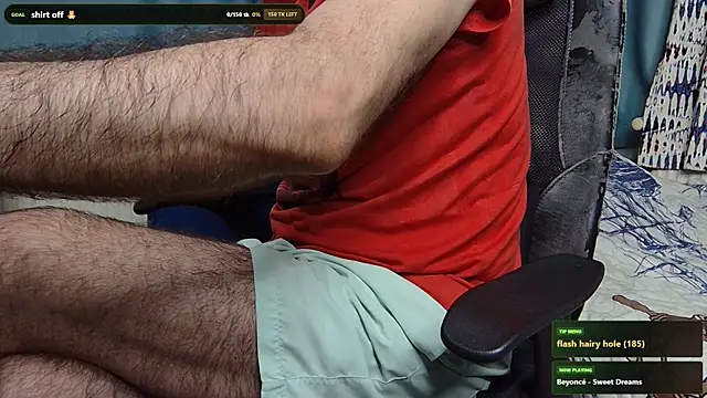 Show webcam de hairybearcb
