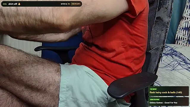 Show de webcam de hairybearcb