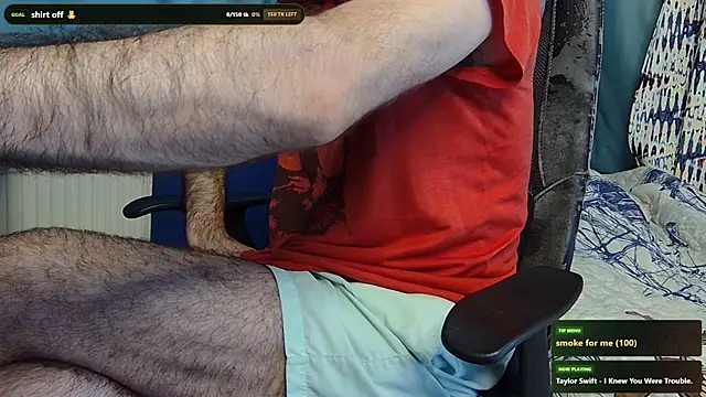 Show de webcam de hairybearcb