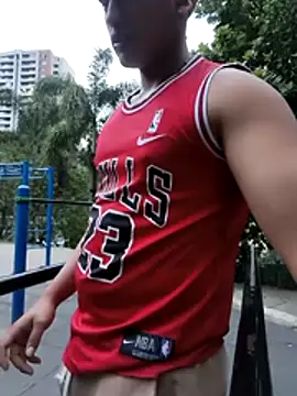 Hiroshi_Shenn Webbikameraesitys