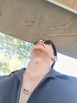 Hiroshi_Shenn Webbikameraesitys