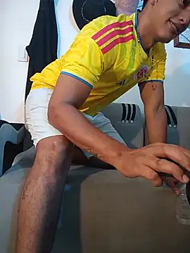 Hiroshi_Shenn Webbikameraesitys