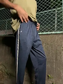 SL_NIKI_PUBLICのウェブカメラショー