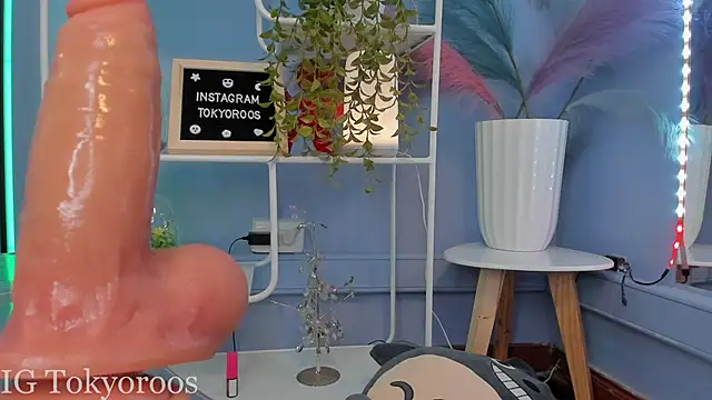 TokyoHaskel's Webcam Show