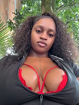 Show webcam de darle_volant