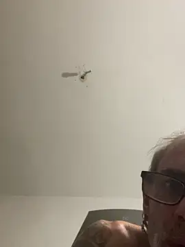 crisfootlicker Pertunjukan Webcam