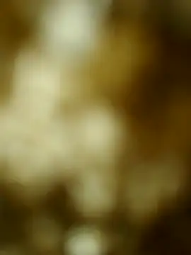 Kajalbhabhi14 – live chatrum