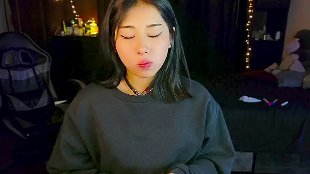 sswng_n Webbikameraesitys