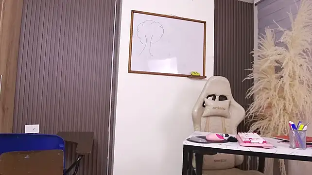 عرض كام XXMILE