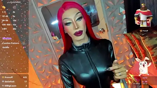 Webkamerová show anitacruise