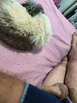 Show de webcam de SIGILOCUIABA