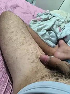 SIGILOCUIABA 웹캠 쇼