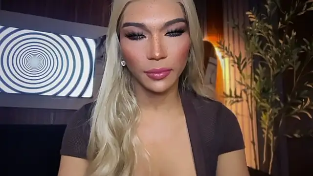Maria_Manikan Webbikameraesitys