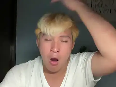 Kingdirtyfogのウェブカメラショー