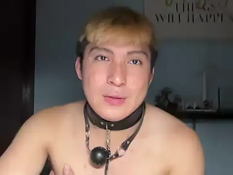 Kingdirtyfog Pertunjukan Webcam