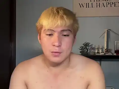 Kingdirtyfog webcam show