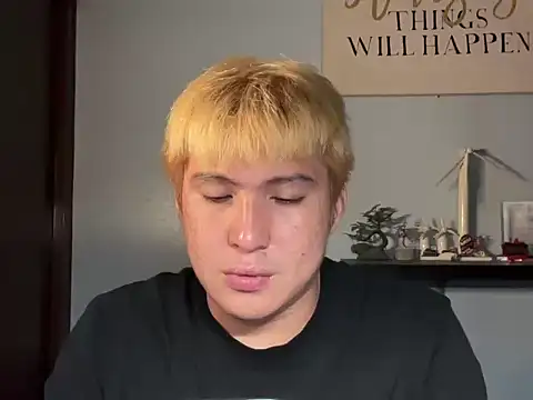 Kingdirtyfog webcam show