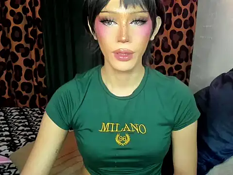 MS-ANGELn Webbikameraesitys
