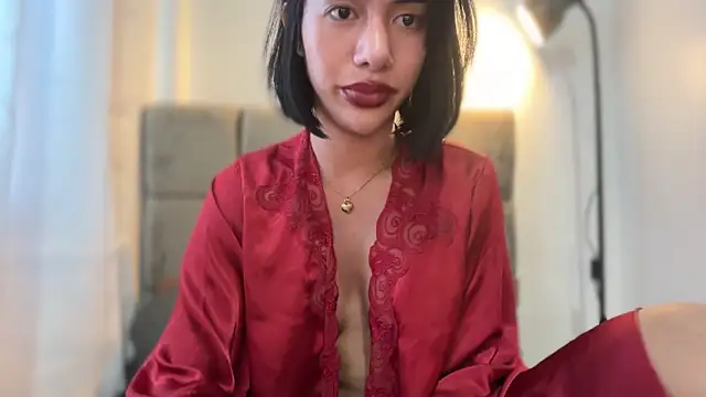 Show modela S1nfulbarb1e na web-kameri