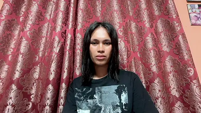 Templar_yokadaのウェブカメラショー