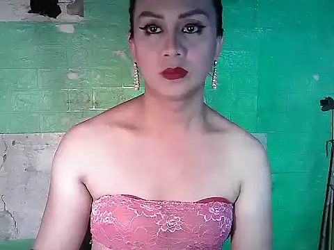 godescock Webcam Show