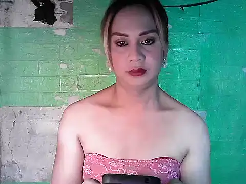 godescock Show Webcam