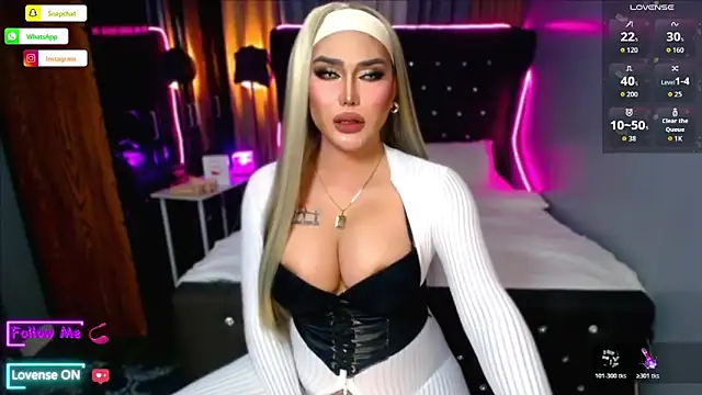 wildbountytrans 웹캠 쇼