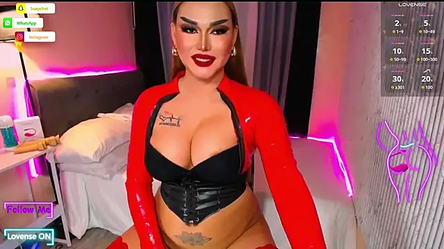 Show de webcam de WildDominantMistress